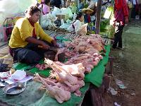 4 - Lac Inle - Pindaya - Kalaw (22)
